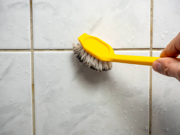Best Office Mold Removal Services  in Espy, PA