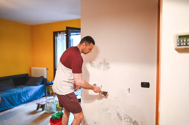 Best Black Mold Removal  in Espy, PA